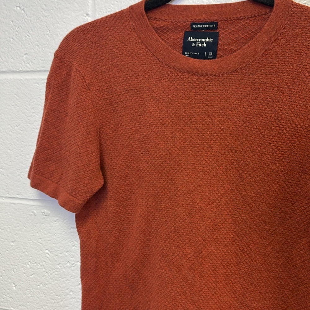 Abercrombie & Fitch Rust Short Sleeve Tee - Picture 5 of 7